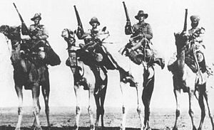 WW1 Battlefield Tours