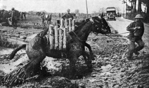 WW1 Battlefield Tours