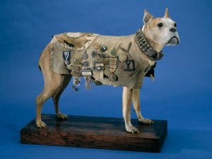 WW1 Battlefield Tours