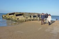 Whales at Arromanches – Normandy and D-Day Landings Tour