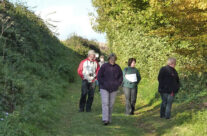 The tour party in the Sunken Lane – Somme and Ypres Battlefield Tour