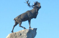 Grieving Caribou Memorial, Newfoundland Memorial Park – Somme and Ypres Battlefield Tour