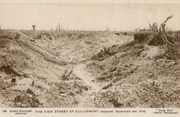 Battles of the Somme – Guillemont