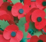 The Story of the Remembrance Poppy
