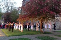 The Cat Festival, Ypres