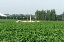 Welsh Cemetery (Caesar’s Nose) – Passchendaele Anniversary Remembrance Battlefield Tour
