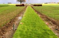 Track X Cemetery – Armistice in Ypres and Passchendaele 100 Anniversary Battlefield Tour