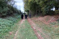 The Sunken Lane – Somme and Ypres WW1 Battlefield Tour