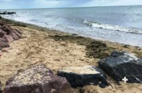 Gold Beach – Normandy and D-Day Landings 75th Anniversary Tour
