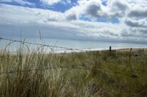 Utah Beach – Normandy and the D-Day Landings Tour