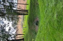 Sheffield Memorial Park, Somme and Ypres WW1 Battlefield Tour