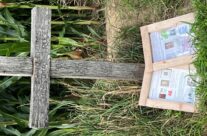 Khaki Chums Christmas Truce Memorial – Somme and Ypres WW1 Battlefield Tour