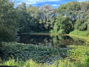 First World War Tours