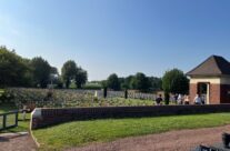 Personal visit to Aix-Noulette Communal Cemetery Extension – Somme and Ypres WW1 Battlefield Tour
