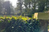 Rifle House Cemetery, Ploegsteert Wood – RGJ Assoc London Branch, Rifleman of the Ypres Salient WW1 Tour